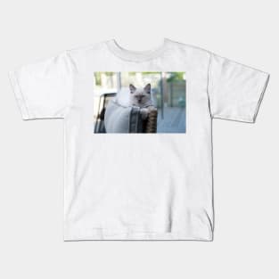 the gray and white ragdoll cat chills Kids T-Shirt